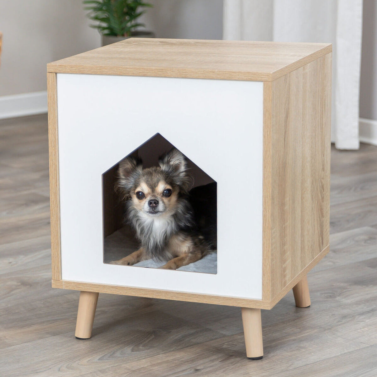 Hund i hundehule Isa Soft Edition i treutseende, lysebrun og hvit