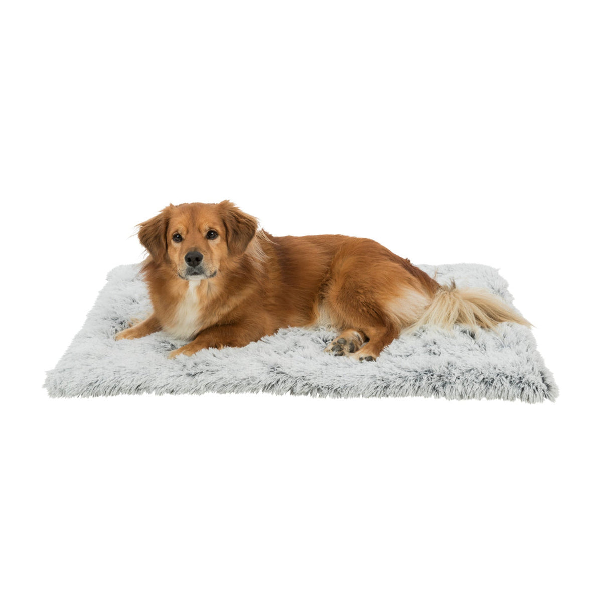 Hund på hundematte Harvey fra Trixie i langhåret plysj, sort og hvit
