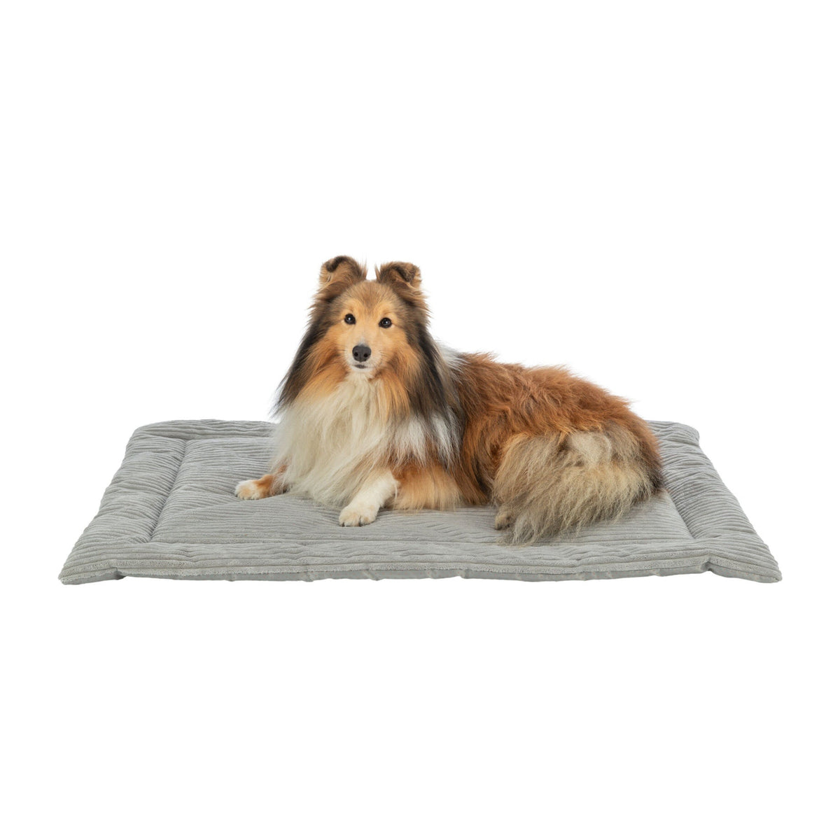 Hund på hundematte Jonna Soft Edition Vital fra Trixie i grå plysj