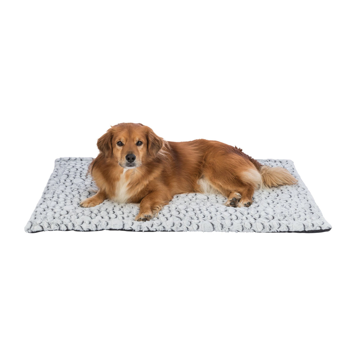 Hund på hundematte Mila fra Trixie i hvit og grå softplysj