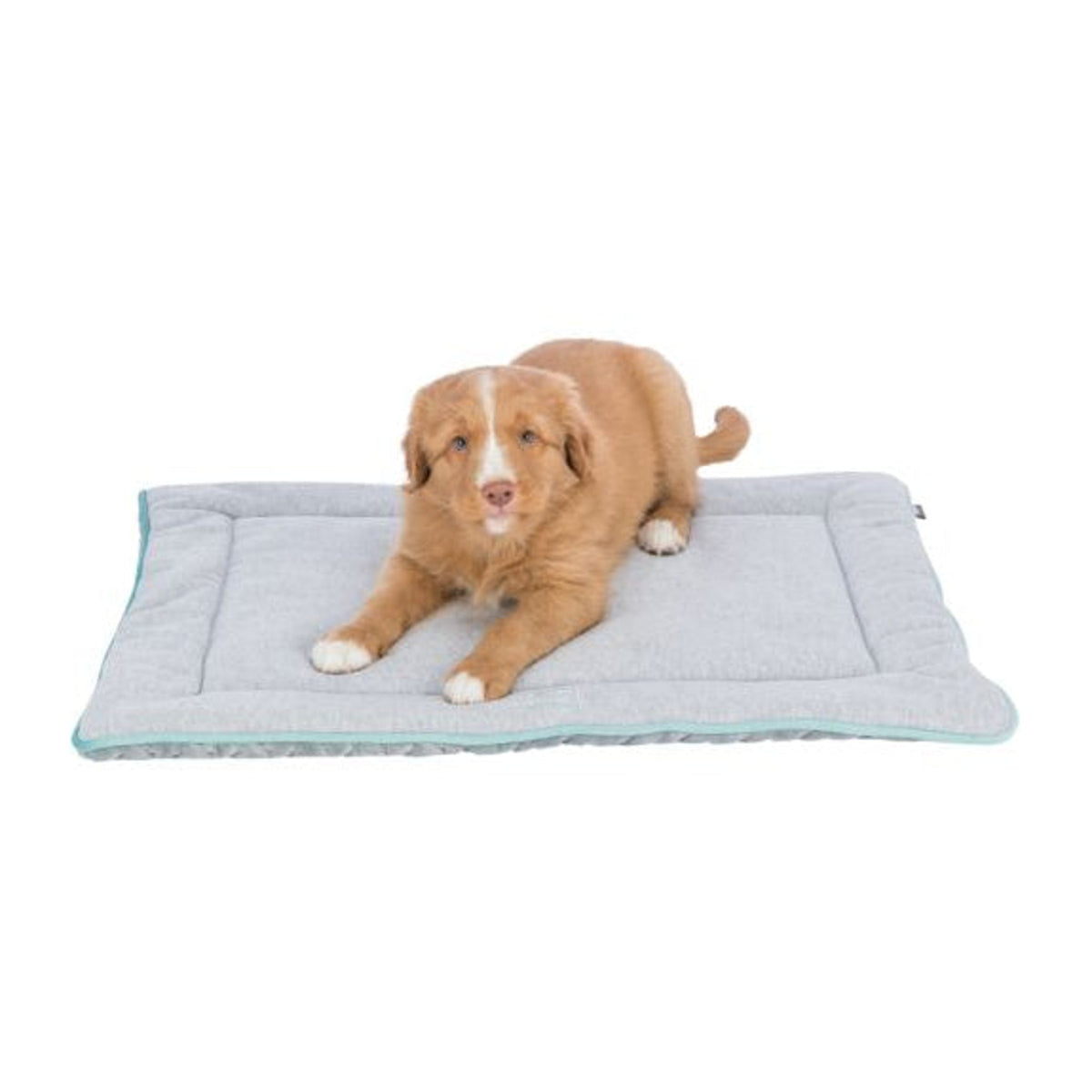 Hund på hundematte i softplysj fra Trixie, lysegrå og mint