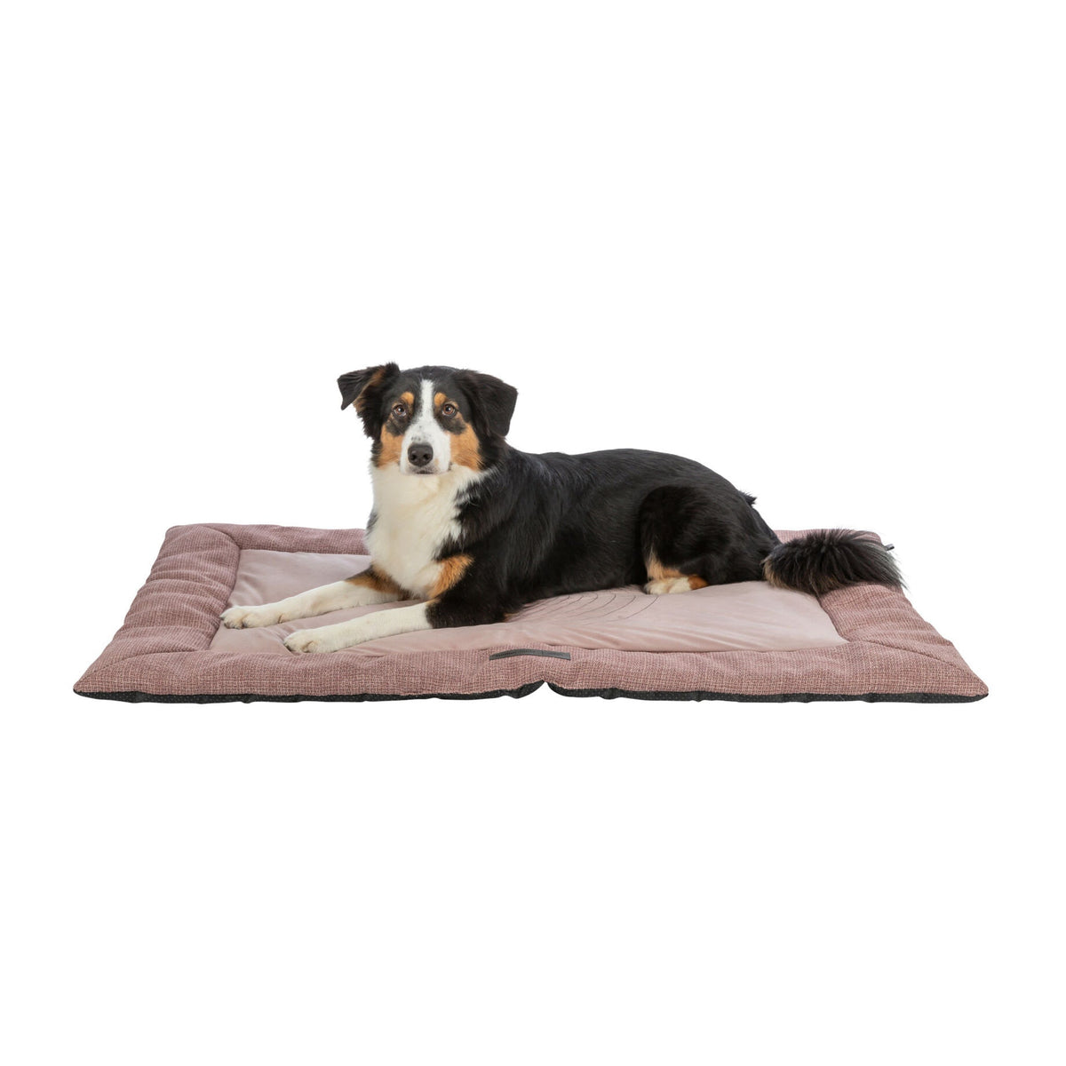 Hund på hundematte Viviana Home Edition fra Trixie med broderi, antikkrosa