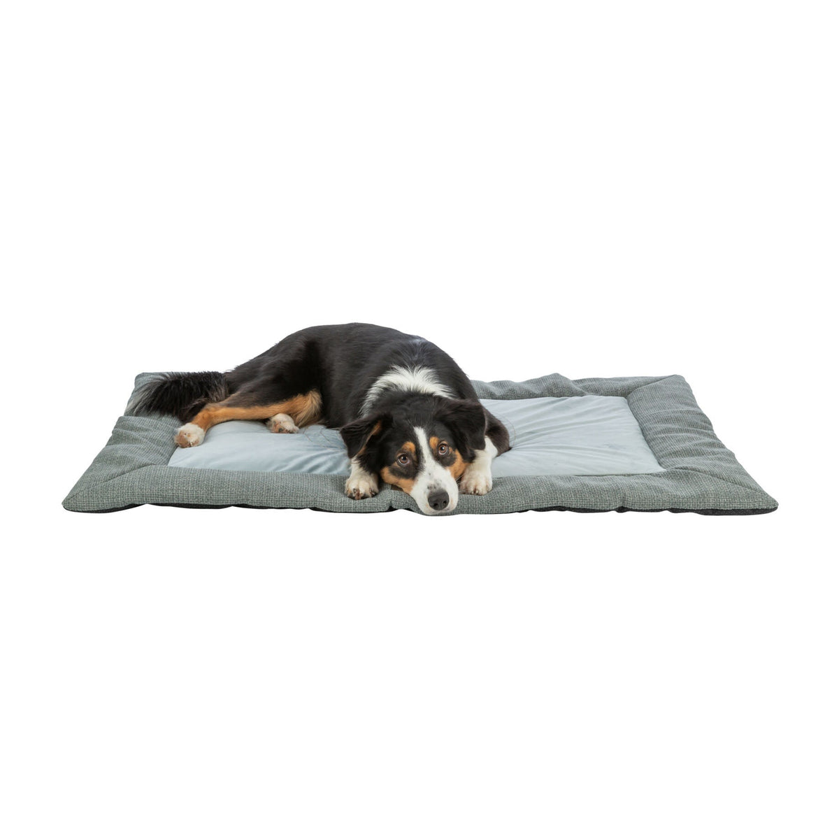 Hund på hundematte Viviana Home Edition fra Trixie med broderi, blå og grå