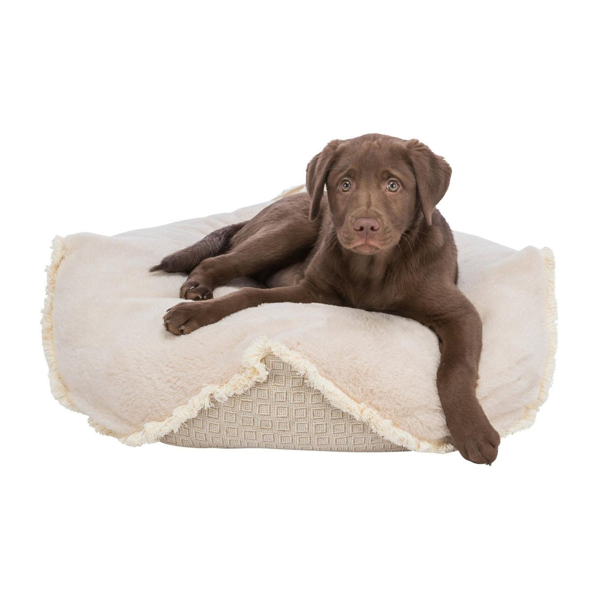 Hund på hundepute Boho i vevd stoff, beige