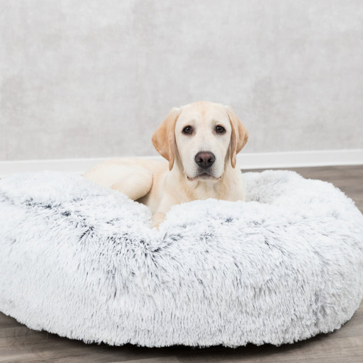 Hund på rund hundepute Harvey i langhåret plysj, hvit og sort