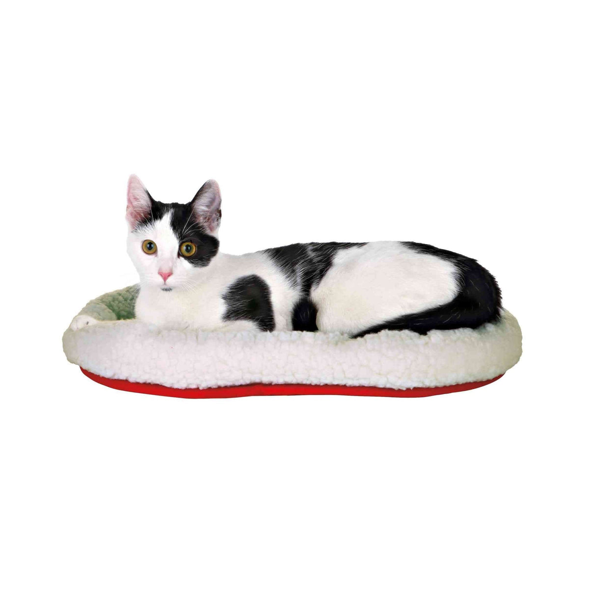 Katt på hundepute med lammepelslook for hund og katt