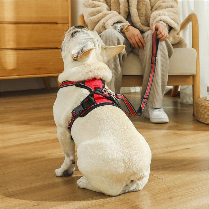 Hundesele - Hundesele i god kvalitet og best pris - Hundevennen