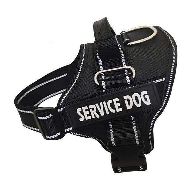 Hundesele med navn - Hundevennen