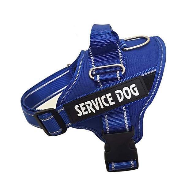 Hundesele med navn - Hundevennen