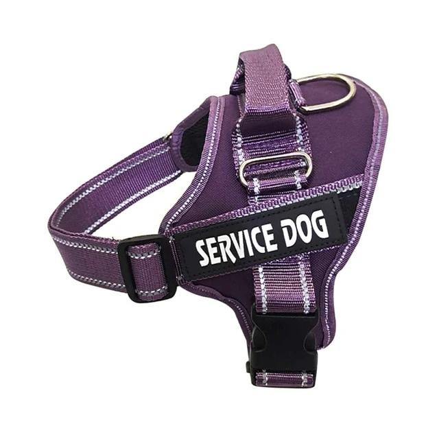 Hundesele med navn - Hundevennen