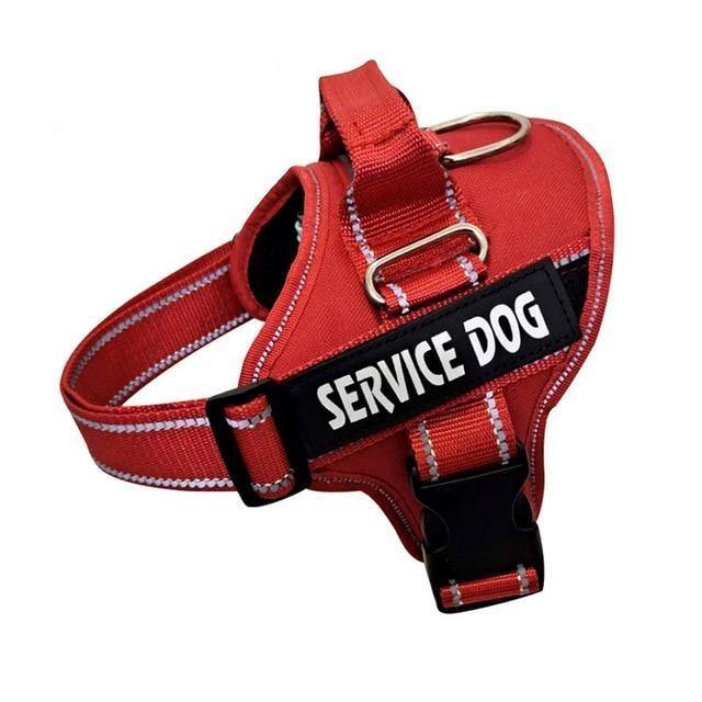 Hundesele med navn - Hundevennen