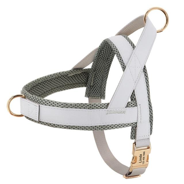 Hundesele med navn - Klassisk - Hundevennen