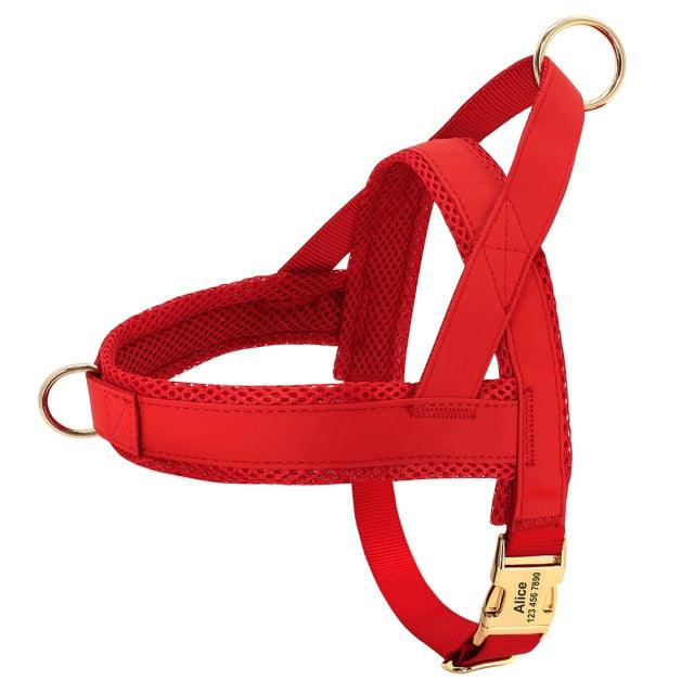Hundesele med navn - Klassisk - Hundevennen