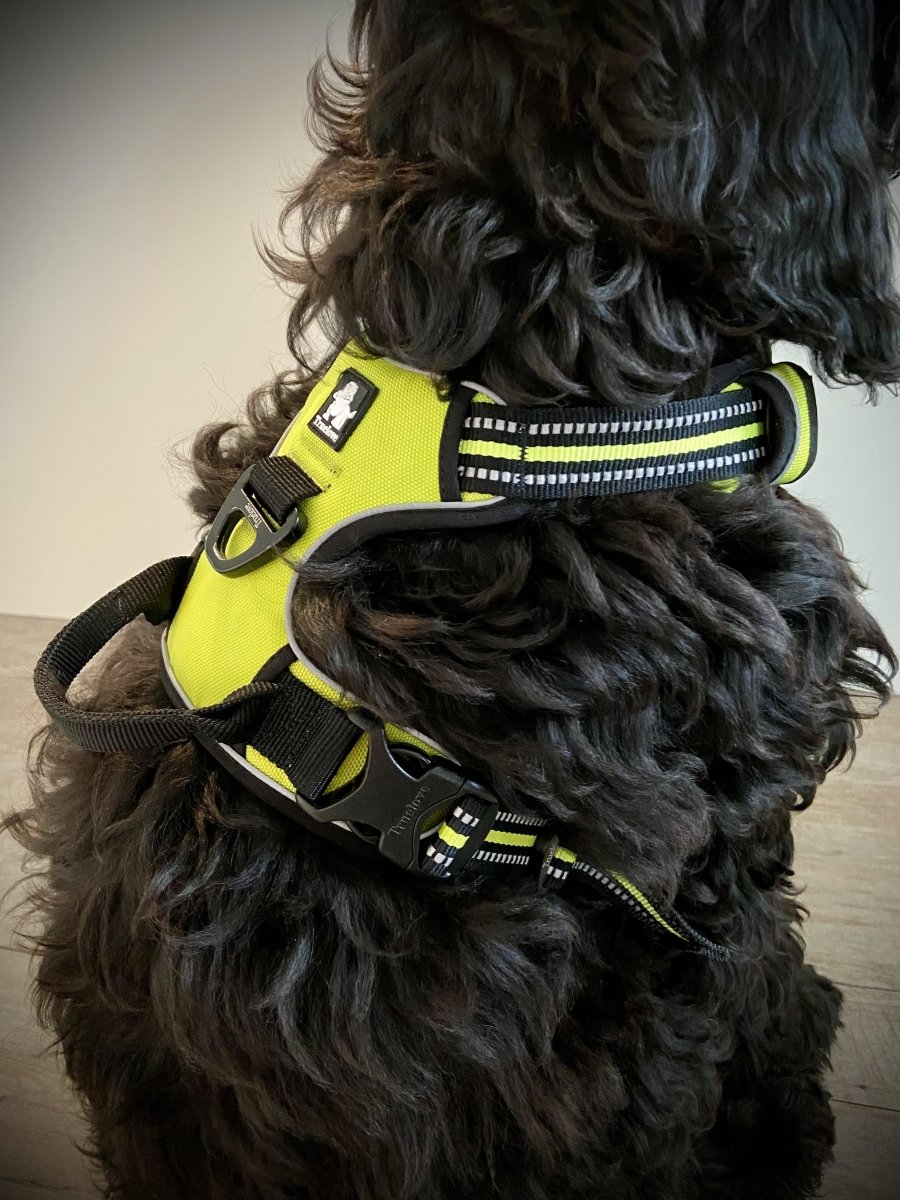 Hundesele - Y-sele - Hundesele valp - Antitrekk - Hundevennen