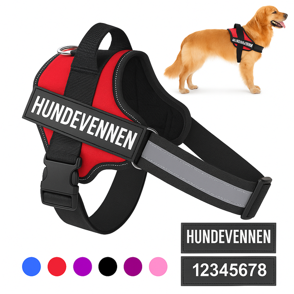 Hundesele med navn – Justerbar sele med refleks og navn
