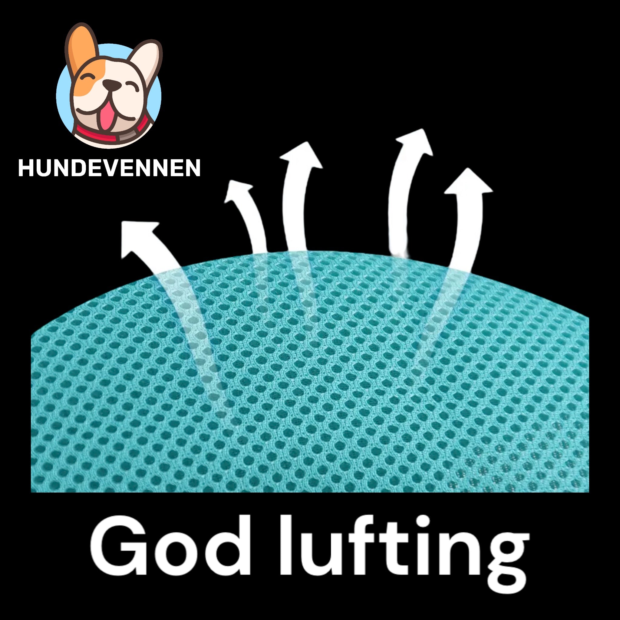 Sele til små hunder og katter