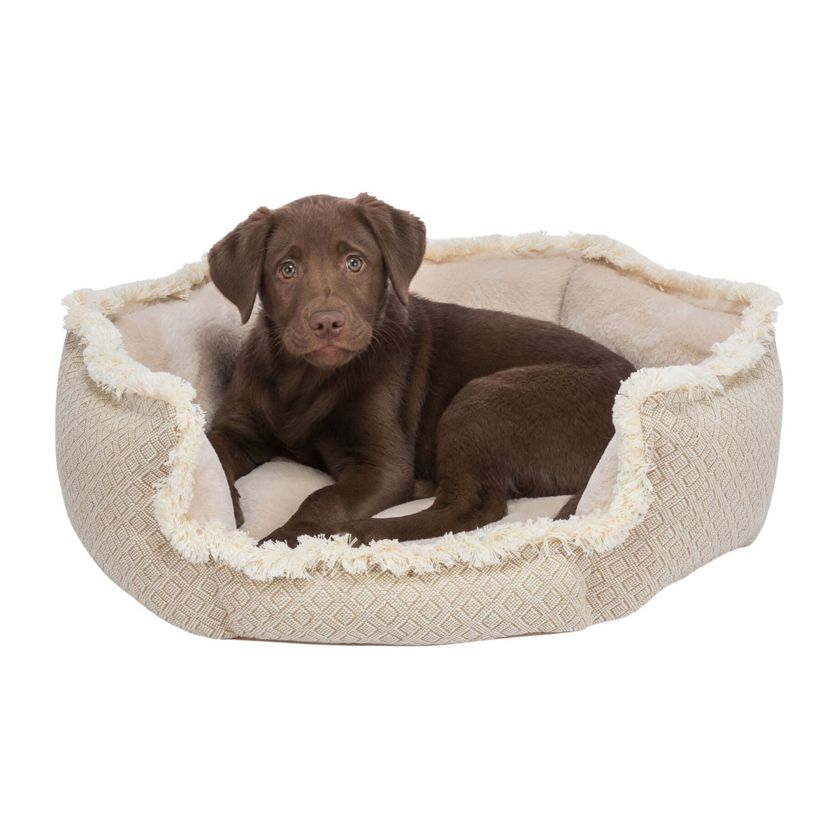 Hund i hundeseng Boho i vevd stoff, beige