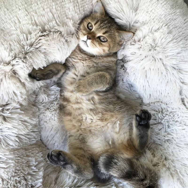 Hundeseng Donut / Fluffy Hundeseng - Avtagbart trekk - Hundevennen