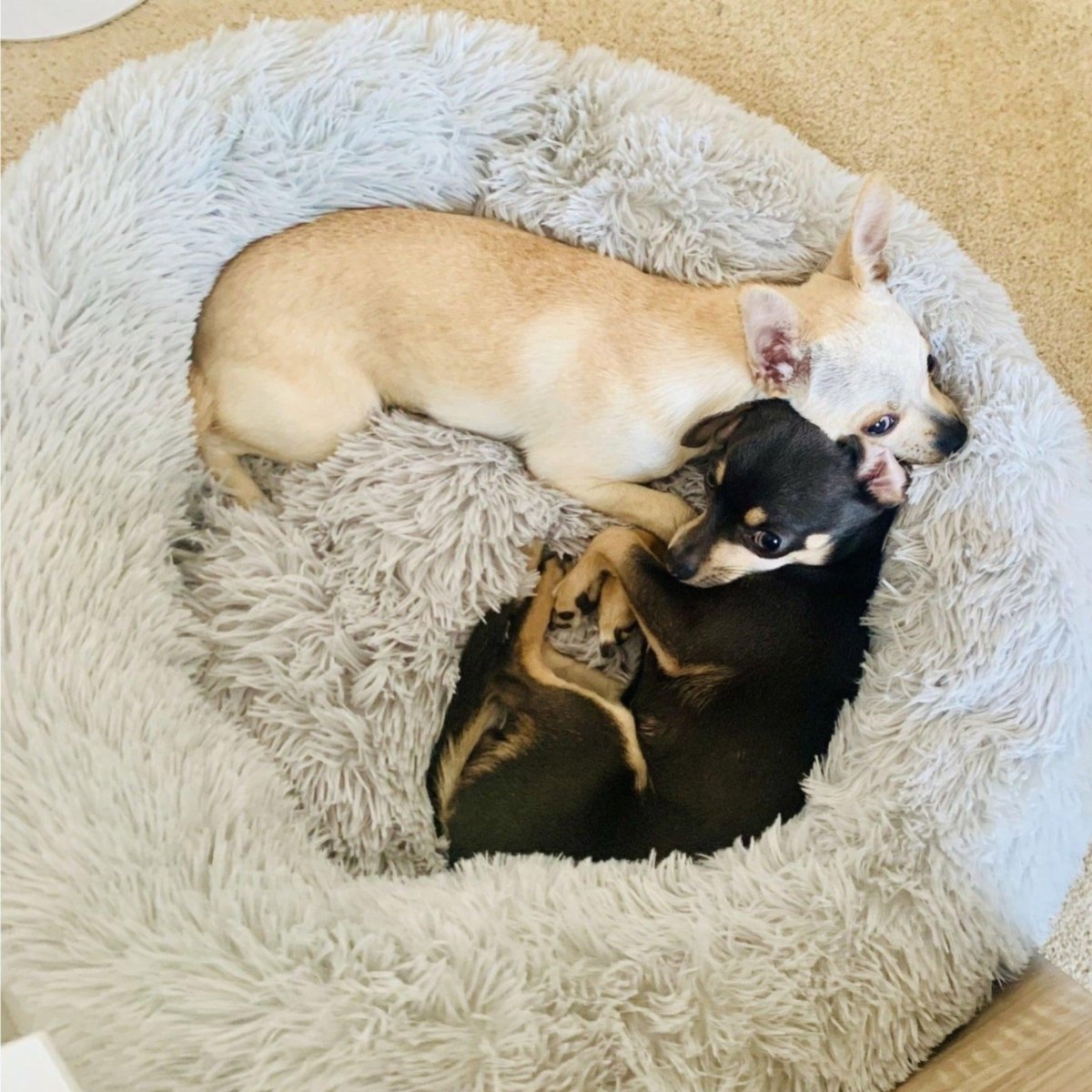 Hundeseng Donut / Fluffy Hundeseng - Avtagbart trekk - Hundevennen