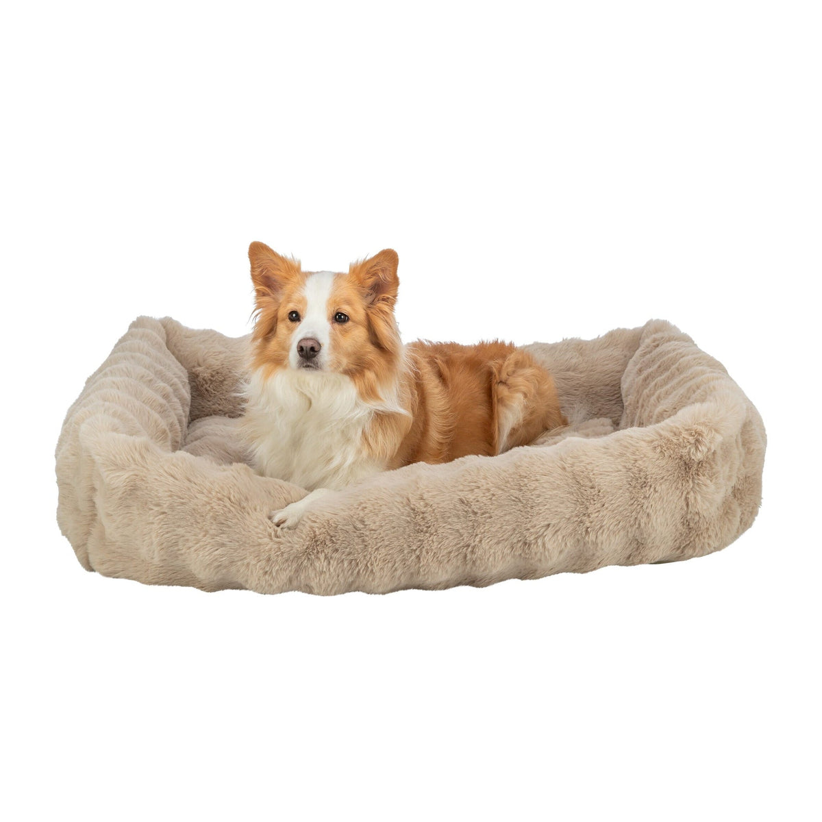 Hund i hundeseng Elli Soft Edition i myk plysj med avtakbart trekk, sand
