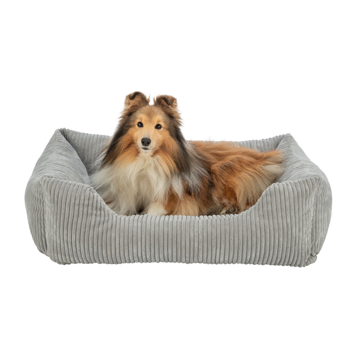 Hund i ortopedisk hundeseng Jonna Soft Edition Vital fra Trixie i grå plysj