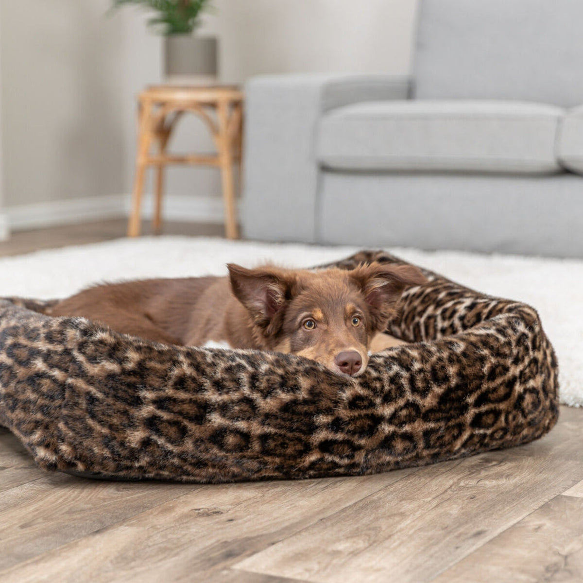 Hund i hundeseng Leo i leopardmønster med avtakbart trekk, brun leopard