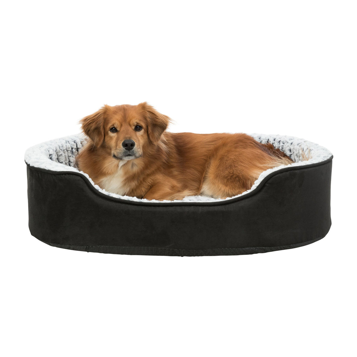 Hund i ortopedisk hundeseng Lino Vital fra Trixie i grått og sort