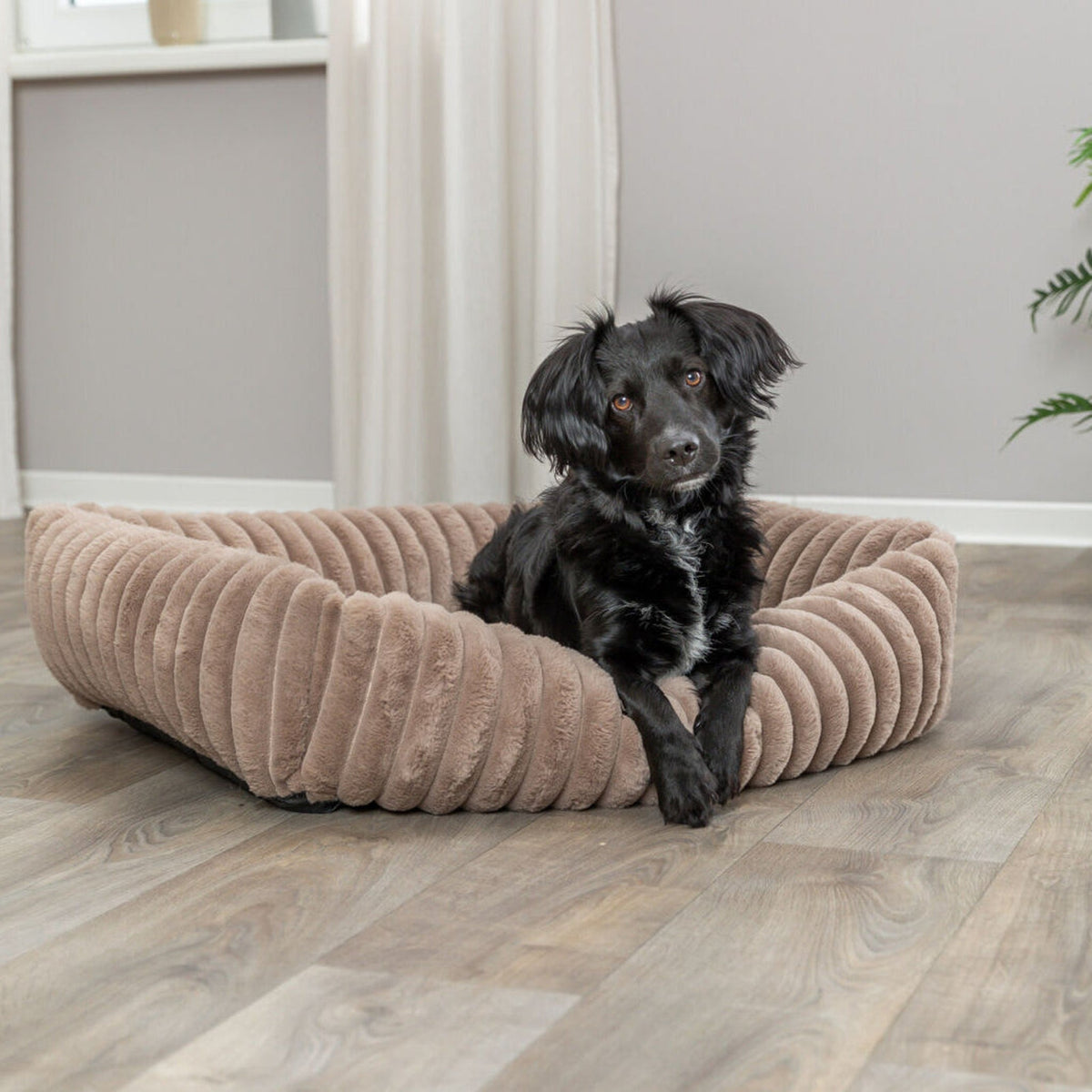 Hund i hundeseng Lonni Soft Edition i plysj med avtakbart trekk, lysebrun