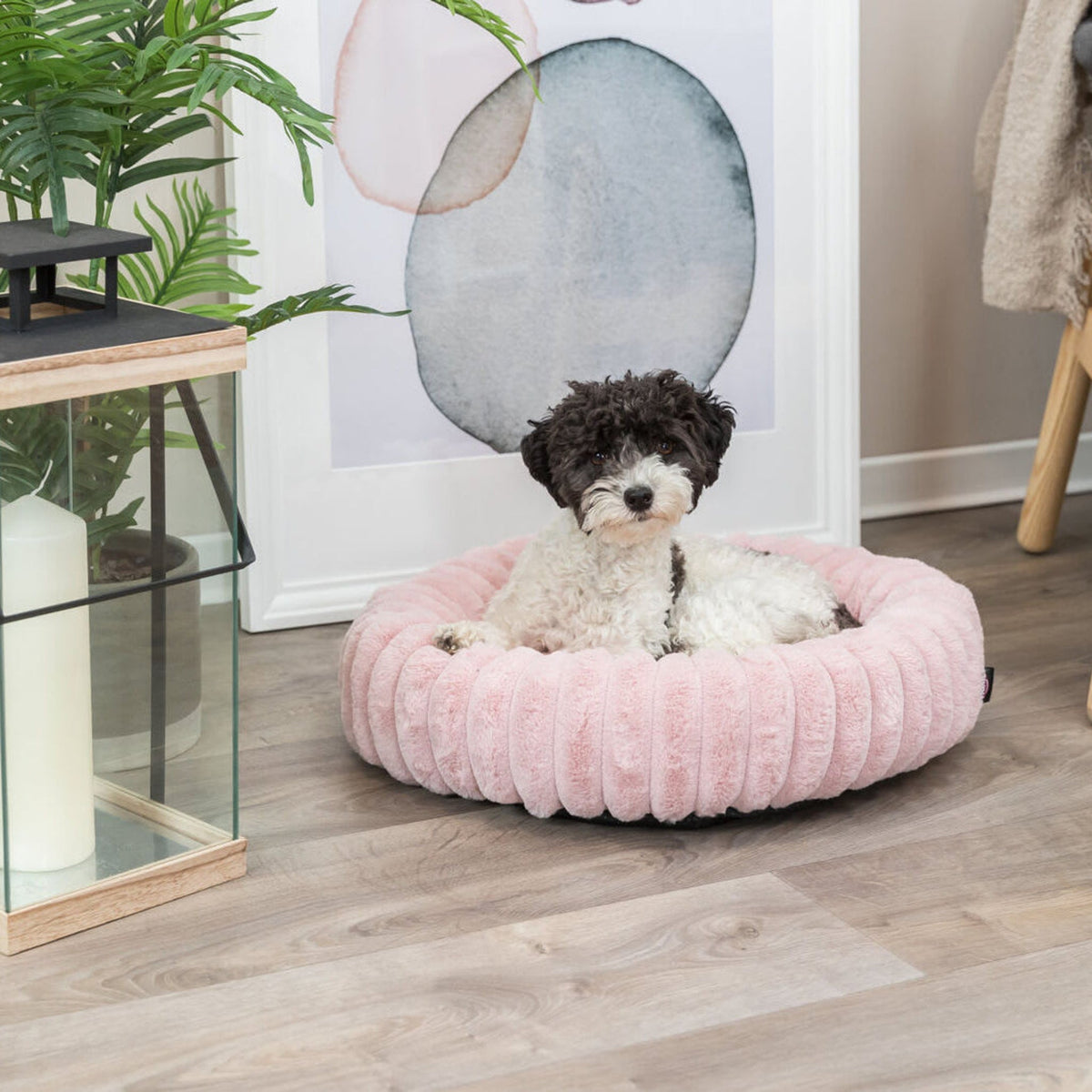 Hund i hundeseng Lonni Soft Edition rund i plysj med avtakbart trekk, rosa