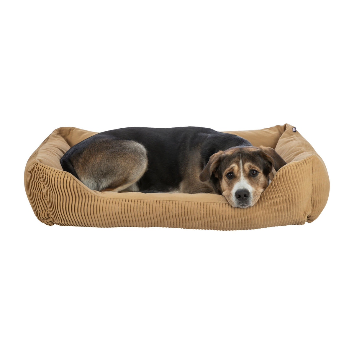 Hund i hundeseng Marley i canvas og bomull, oker