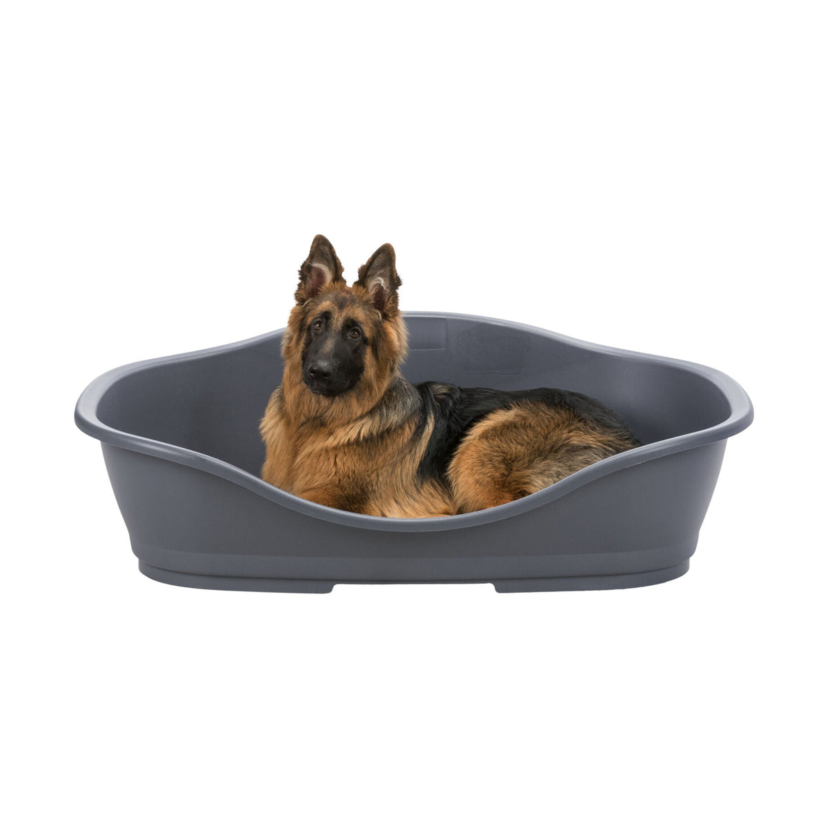 Hund i hundeseng Sleeper i plast med ventilasjonsspalter, antrasitt