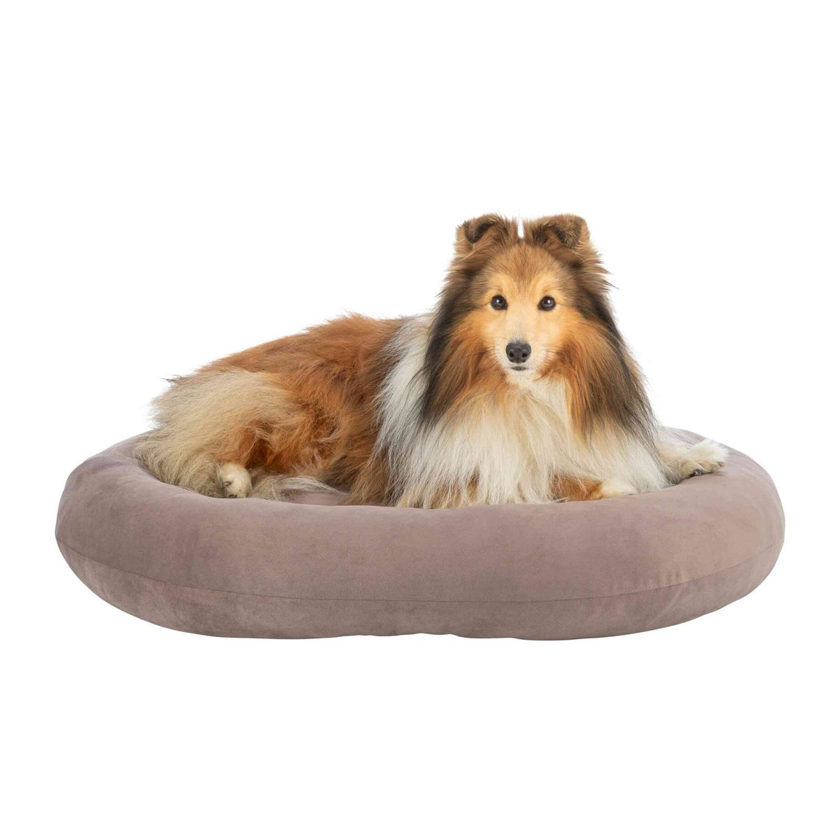 Hund i hundeseng Talia Soft Edition, brun