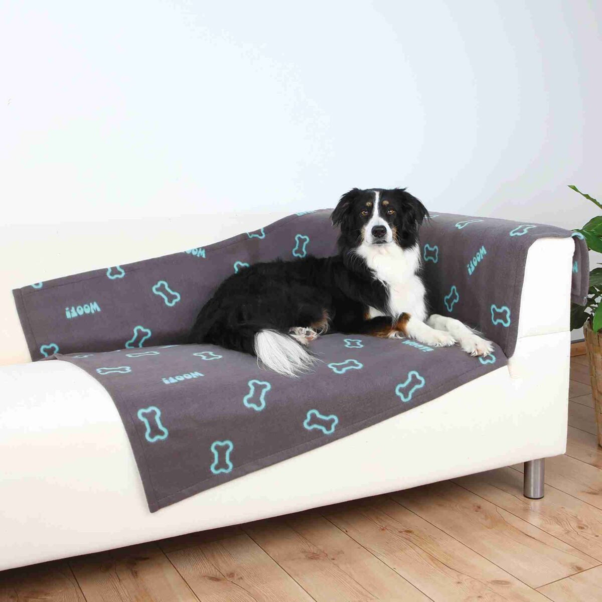 Hund på hundeteppe Barney i fleece med potetrykk, grå