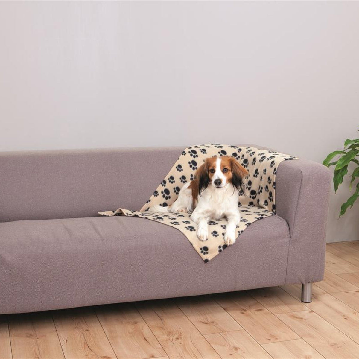 Hund på hundeteppe Beany i fleece, beige