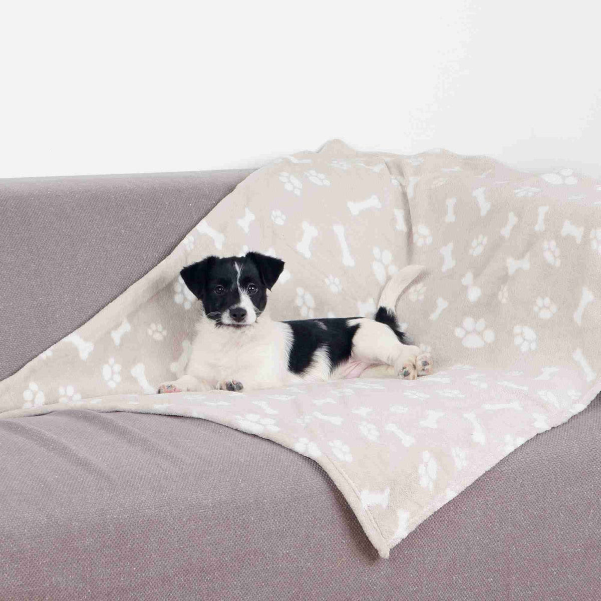 Hund på hundeteppe Kenny i myk plysj, beige