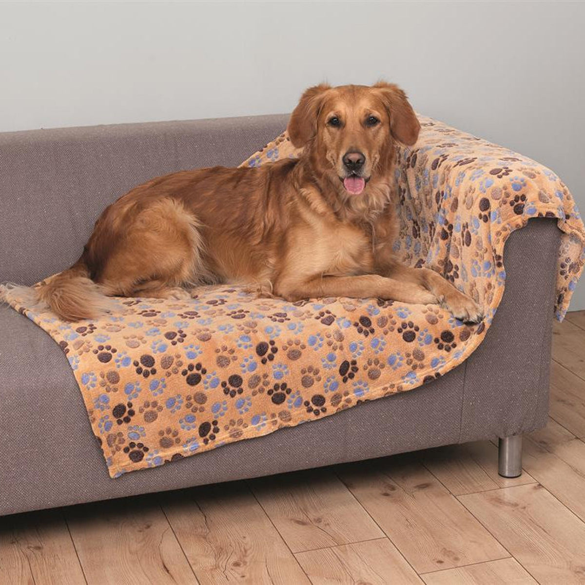 Hund på hundeteppe Laslo i soft-fleece med poter, beige