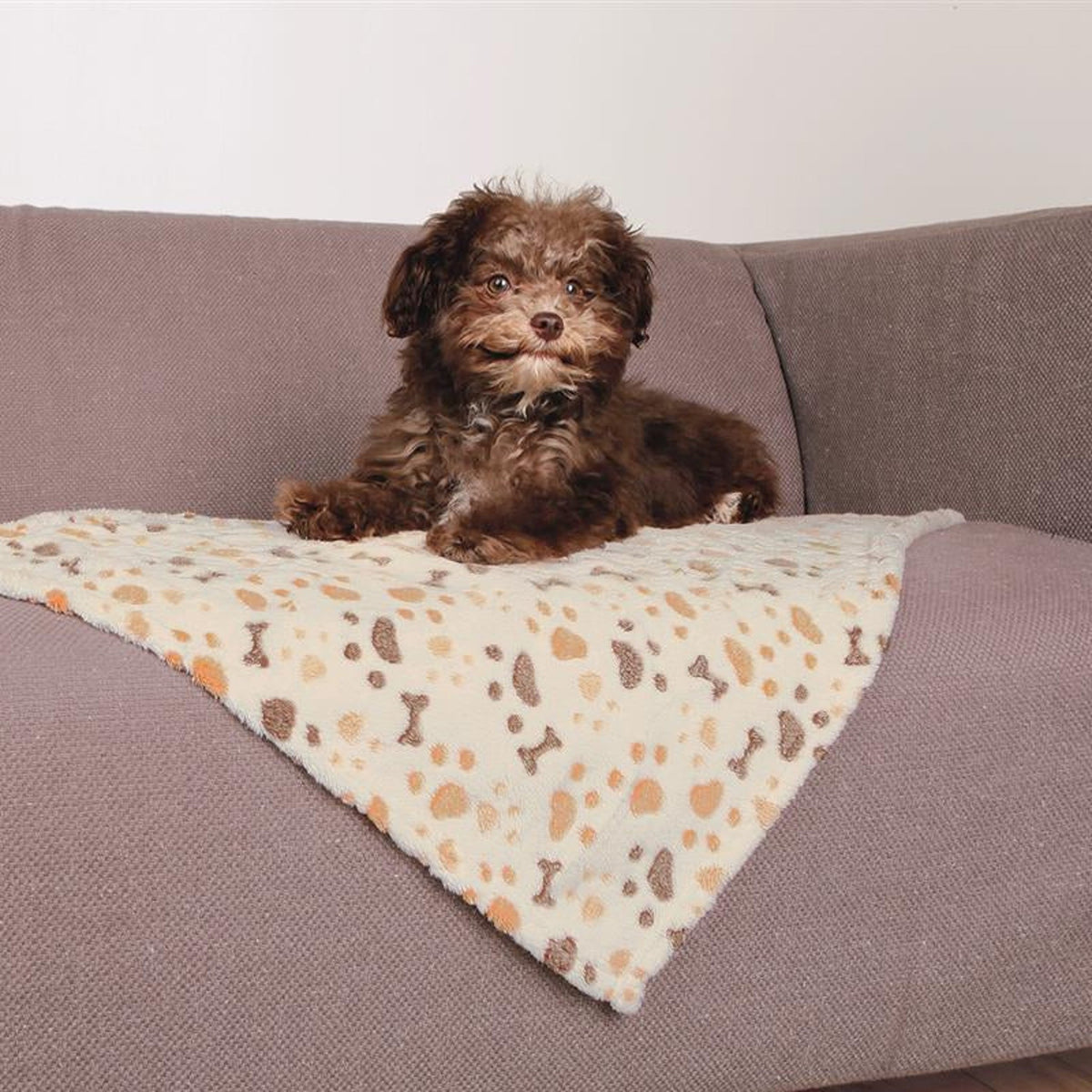 Hund på hundeteppe Lingo i soft-fleece, hvit og beige