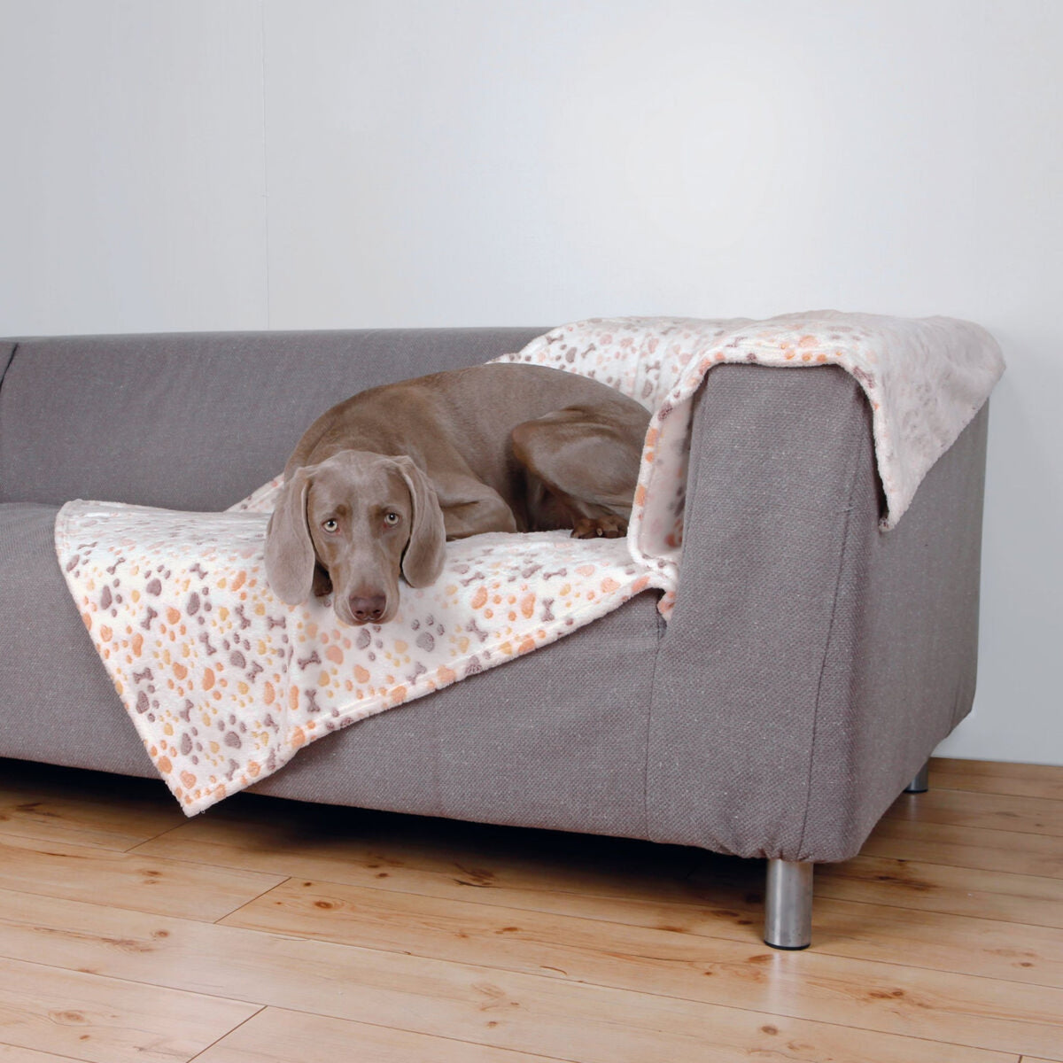 Hund på hundeteppe Lingo i soft-fleece, hvit og beige