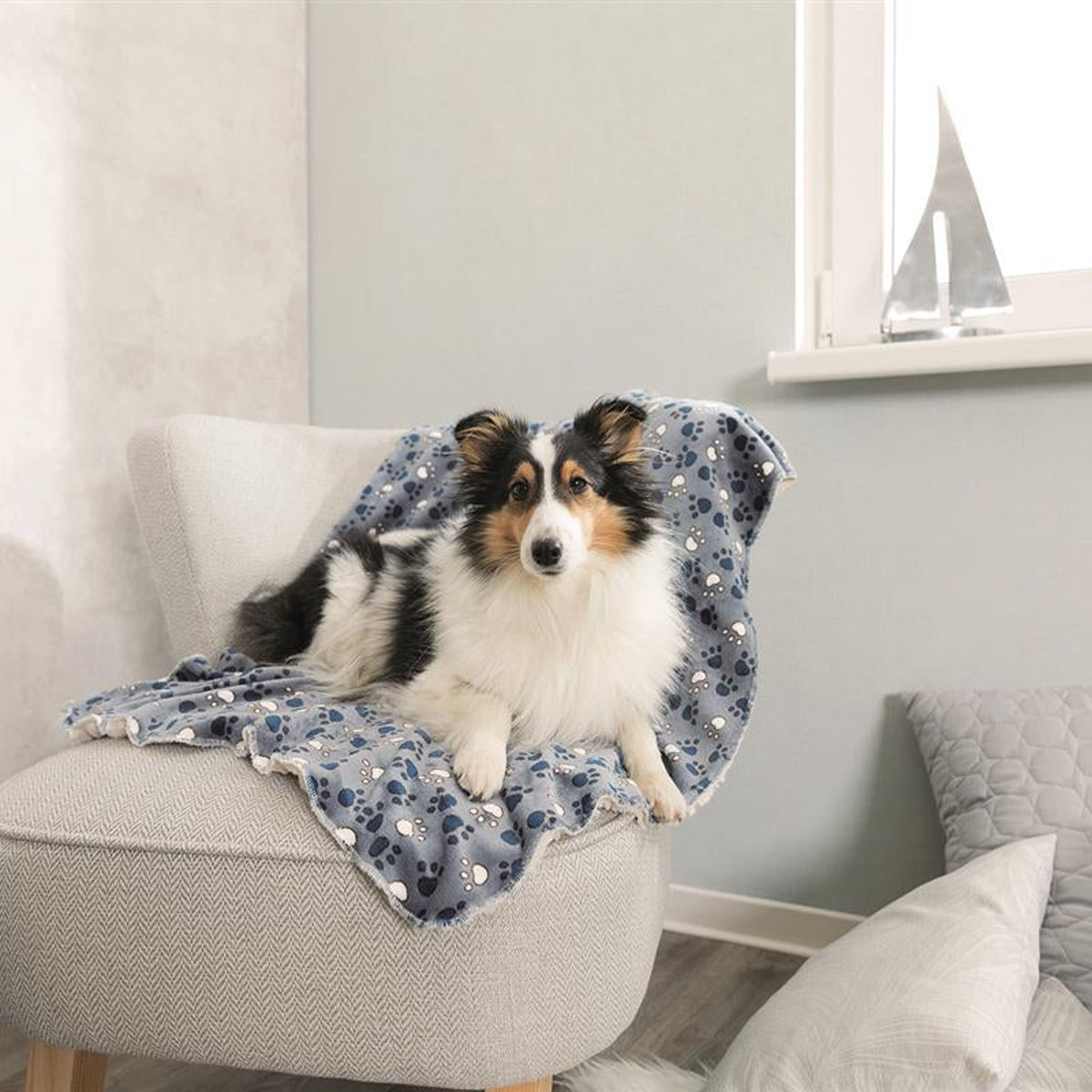 Hund på hundeteppe Tammy i softplysj med poter, blå