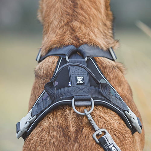Hurtta Weekend Warrior hundesele