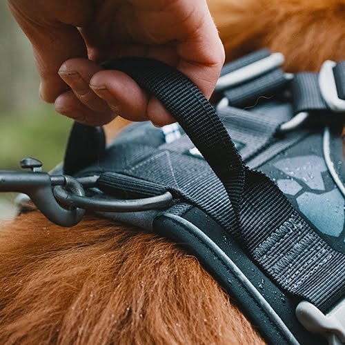 Hurtta Weekend Warrior hundesele
