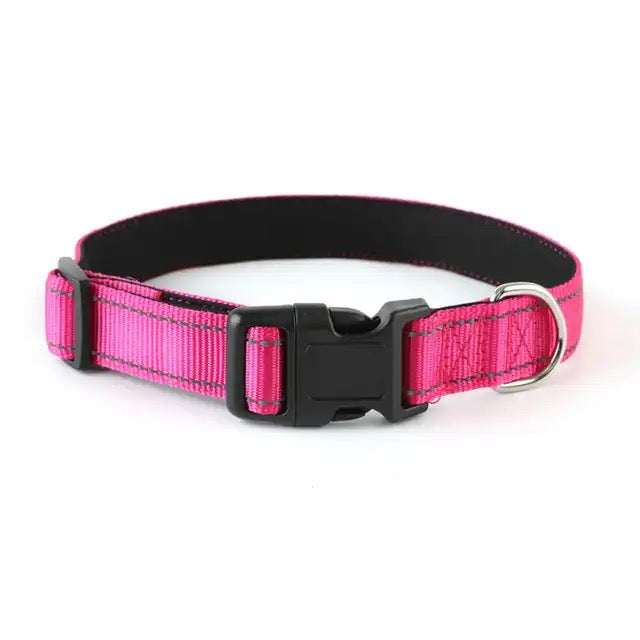 Nylon halsbånd hund - Halsbånd hund - Hundevennen
