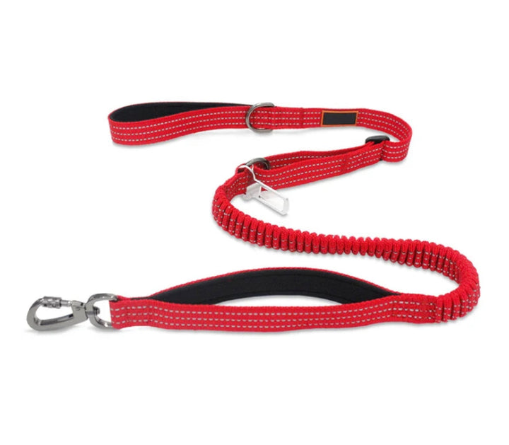 Kobbel med bilselefeste - Elastisk kobbel - QQPETS - Hundevennen
