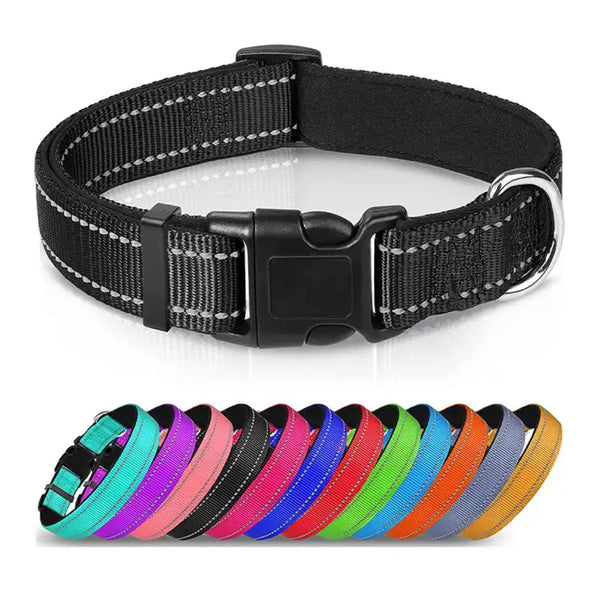 Nylon Hundehalsbånd – Justerbart med polstring og refleks
