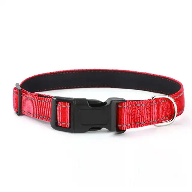 Nylon halsbånd hund - Halsbånd hund - Hundevennen