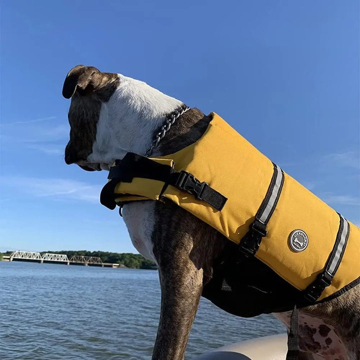 Redningsvest hund - Redningsvest til hund - Hundevennen