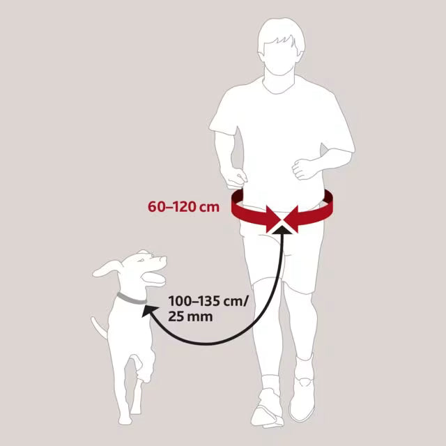 Joggeline hund opptil 40 kg