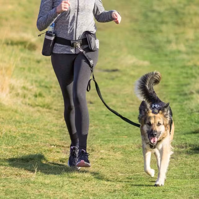 Joggeline hund opptil 40 kg