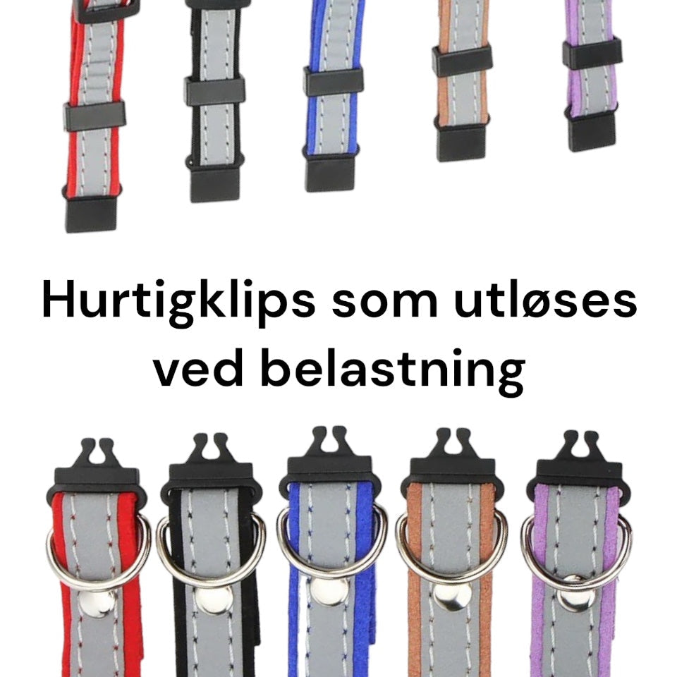 Kattehalsbånd med navn