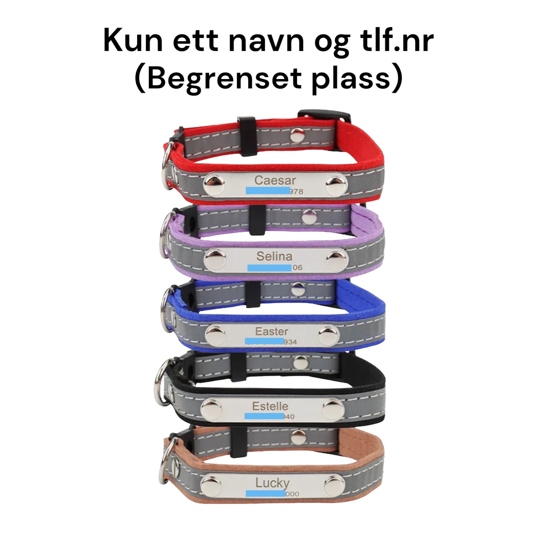 Kattehalsbånd med navn